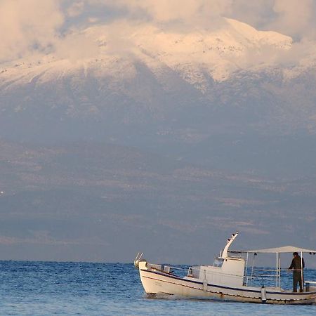 Drakopanagiotaki Rooms Agios Andreas  Zimmer foto